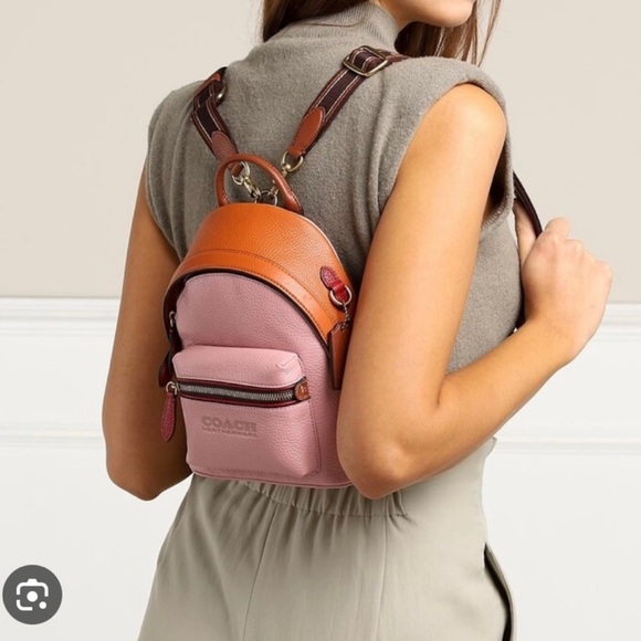 Mini Coach charter 18 colorblock backpack - Picture 3 of 3